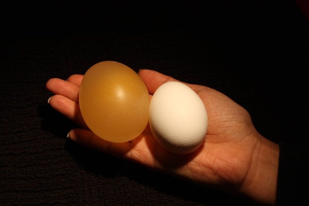 Eggs in Vinegar - MC PROJECTS